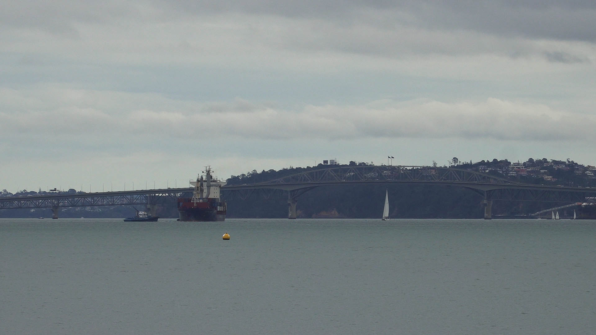 Capitaine Tasman